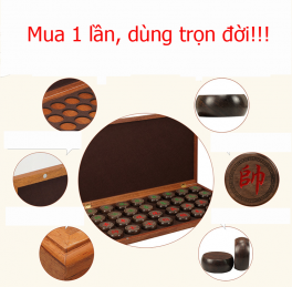 Bộ cờ tướng gỗ ebony và bàn đàn hương siêu đẹp